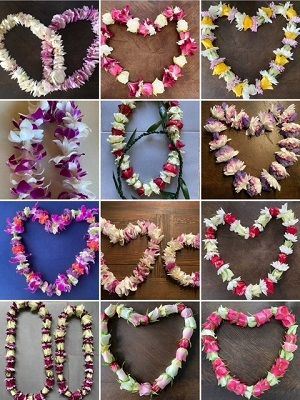 Copyright: Anja Haeger