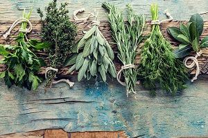 AdobeStock_135214385